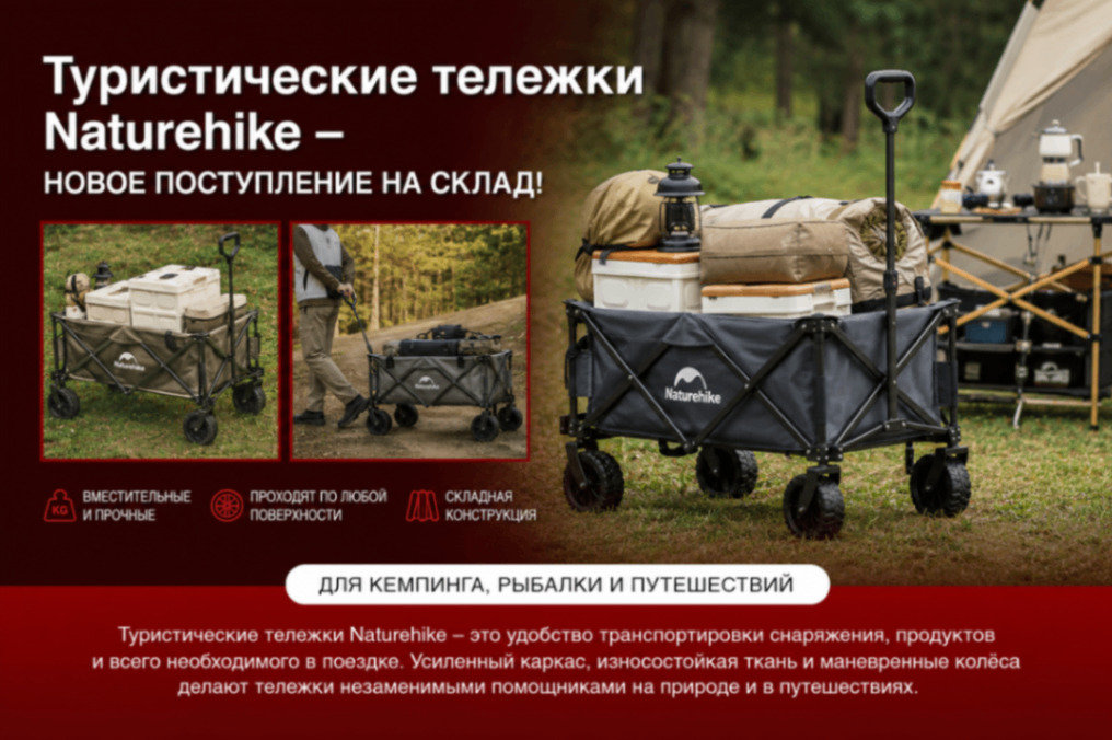 NH тележки.png