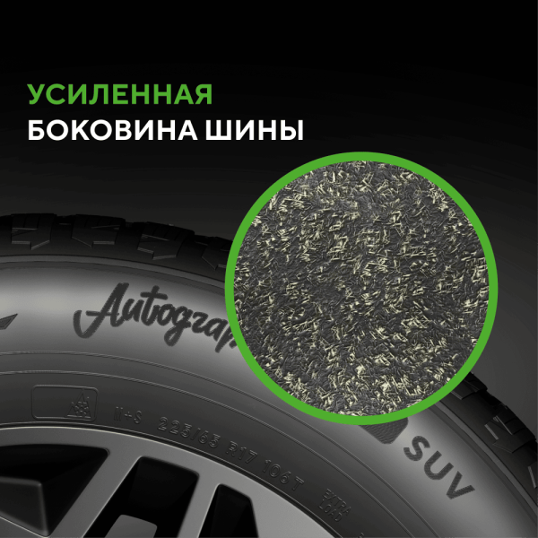 Шина IKON Tyres Autograph Ice 9 255/55R20 110T XL SUV шипованные