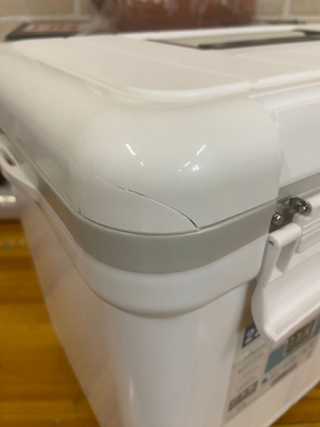 Термобокс SHINWA Holiday Land Cooler 22H белый (уценка)